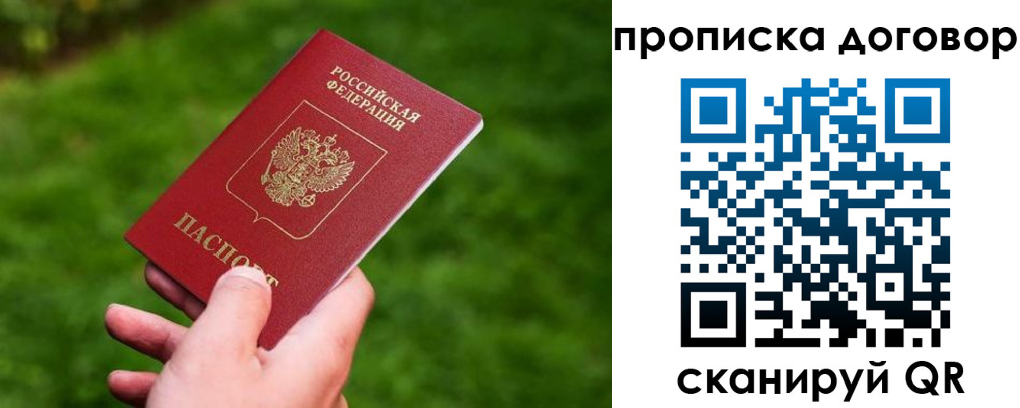 прописка гарантия в Видном